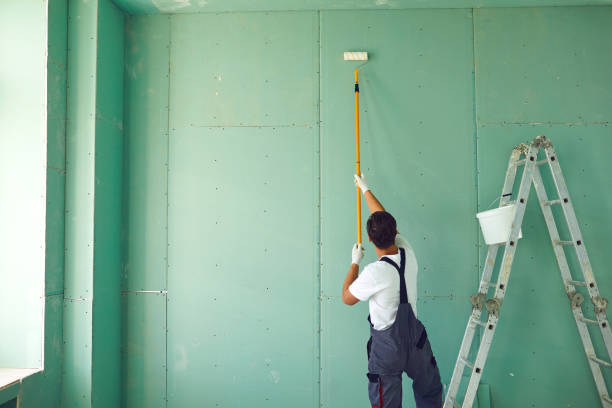 Best Black Mold Removal  in Decherd, TN